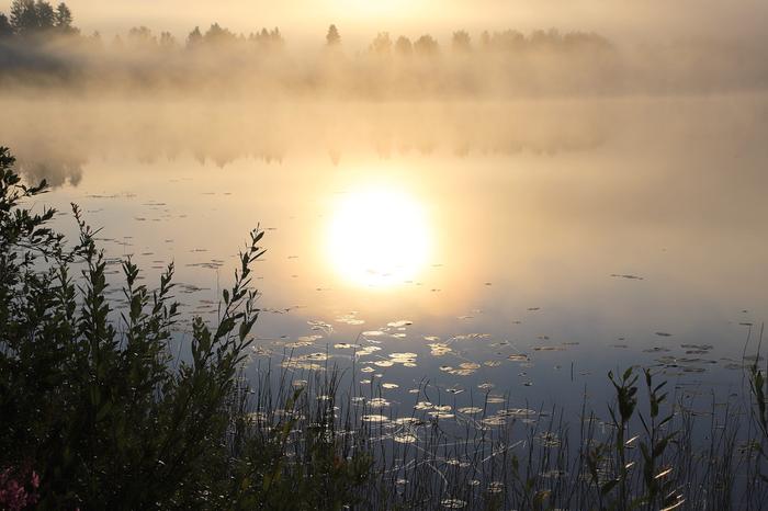 Aamuaurinkoa ja sumua Kotalan Vironkoskella Virroilla.