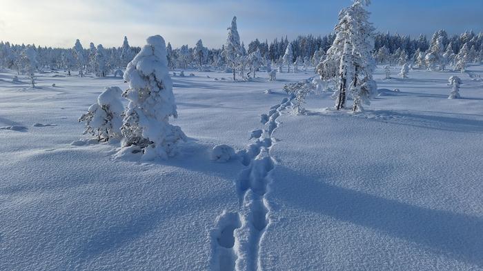 Tuore pakkaslumi on kuohkeaa, eikä se kanna hyvin.
