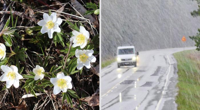 Huhtikuussa 2025 luonto heräsi aikaisin kevääseen, mutta vappuaatto toi paikoin lumi- ja räntäsateita lounaiseen Suomeen.
