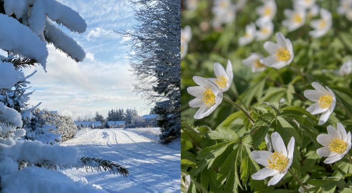 Huhtikuun 2020 sää vaihteli takatalvista keväiseen lämpöön.
