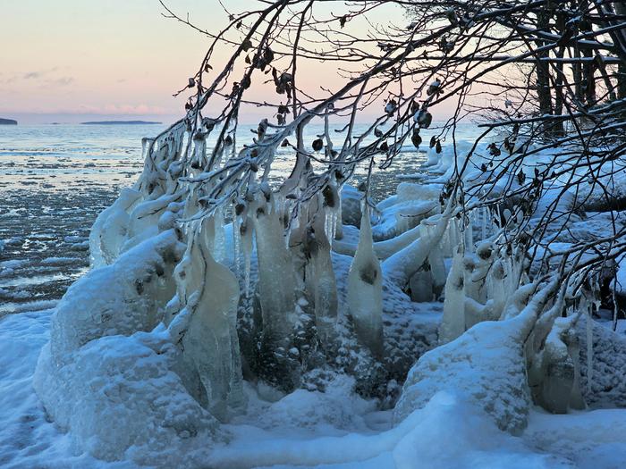 Pakkasella sulien vesialueiden rannat kuorruttuvat jäällä.