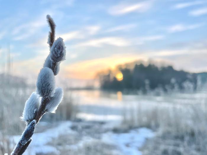 Maaliskuussa aamut ovat usein vielä kylmiä, mutta päivisin lämpötila kohoaa nollan yläpuolelle vähitellen Lapissa asti.