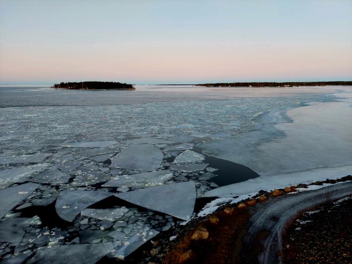 Jäälauttoja Jäätä on meressä vain lauttoina