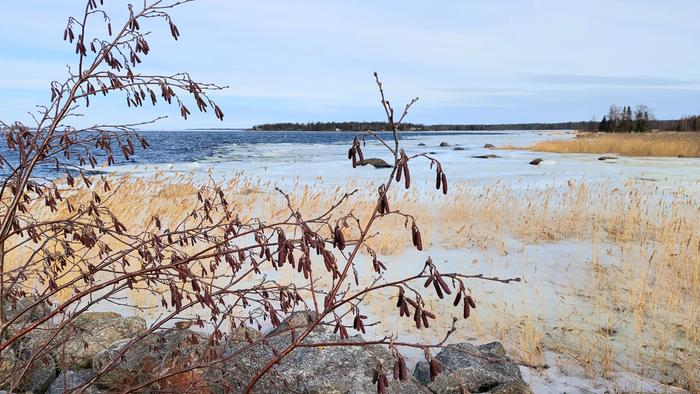Jäiden lähtö lähestyy.