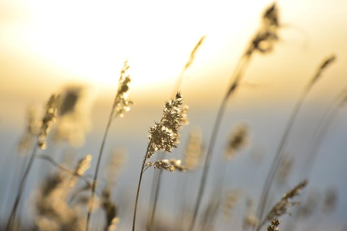 Keväinen lämpöaalto saapui Helsinkiin.