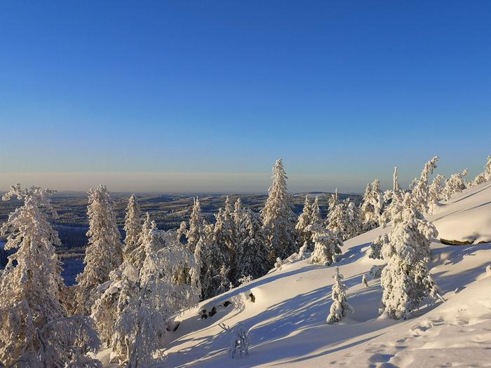 Pohjois-Karjalan vaaramaisemia talvella.