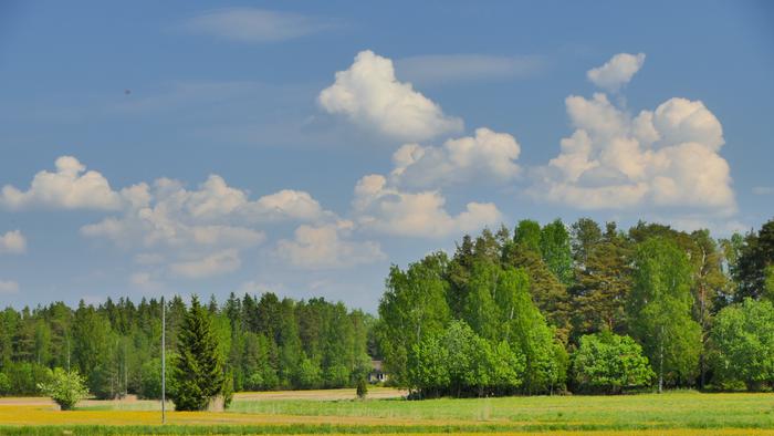 Helteinen ja kostea kevätpäivä.