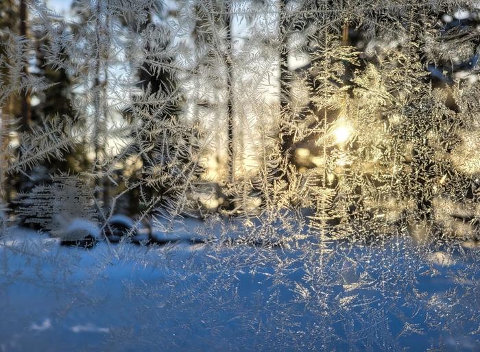 Sydäntalven kuurankukkia Kylmän talvipäivän valoa.