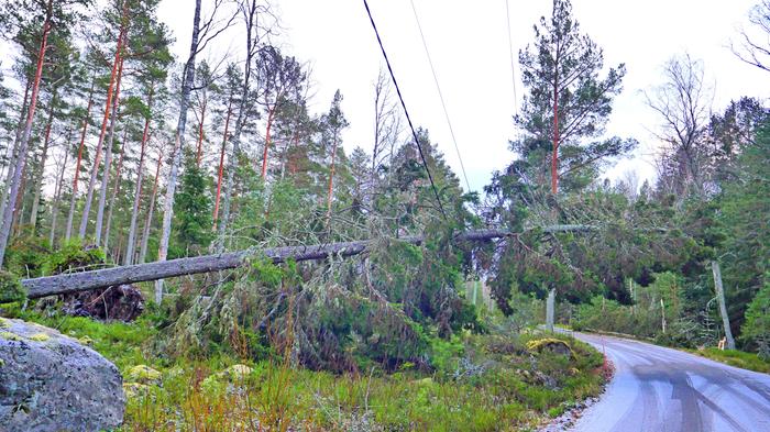 Hannes-myrskyn aikaan sähköttömiä talouksia oli pahimmillaan yli 180&nbsp;000.