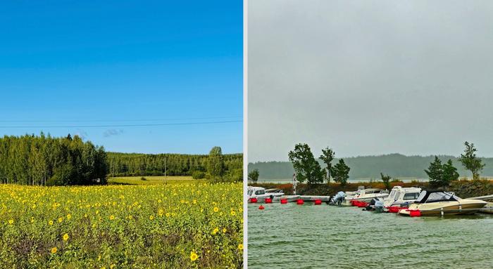 Aurinkoa ja sadetta.