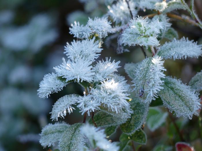 Lokakuun aikana sää kylmenee selvästi, ja osassa maata on usein jo talviset sääolot.