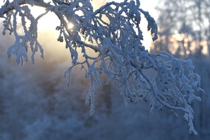 Marraskuun loppu on jo osassa maata yleensä talvinen.