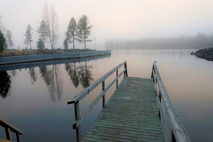 Sumuisen hämärä syysaamu Syysaamun hämyisää valoa.