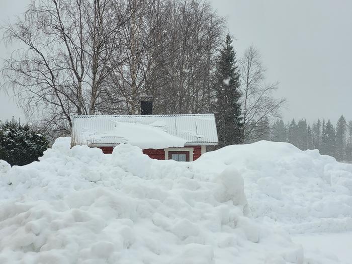 Lumikasat kasvoivat talven aikana reippaasti korkeutta.