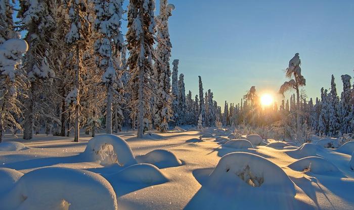 Pohjois-Suomessa aurinko paistaa vielä tammikuussa matalalta.