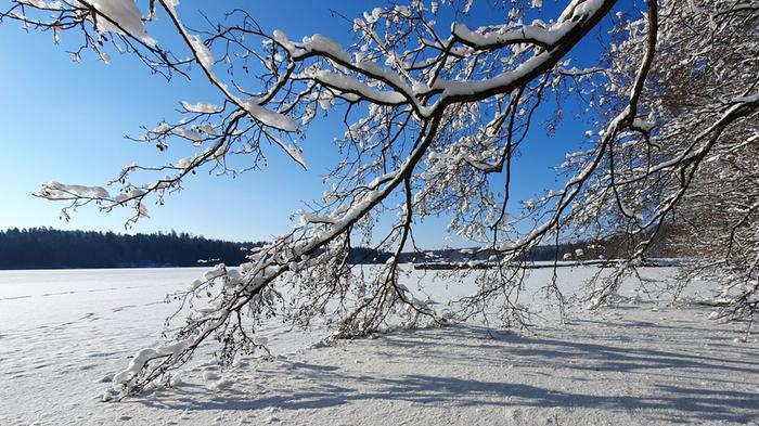 Aurinkoinen kevättalven päivä.