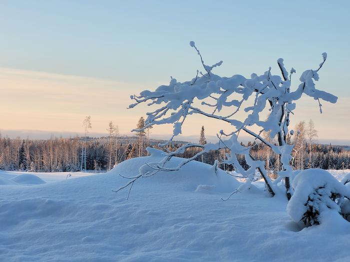 Talvisessa korkeapainesäässä kylmintä on selkeillä ja heikkotuulisilla, alavilla paikoilla.