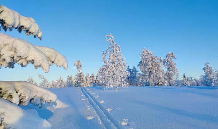 Helmikuussa päivä pitenee nopeasti Pohjois-Suomessa.