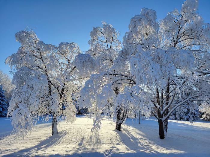 Aurinkoinen pakkaspäivä.