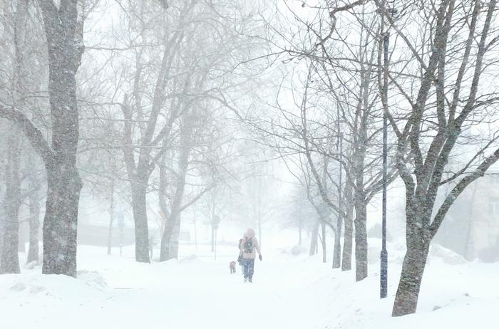 Huhtikuun lumipyry Huhtikuun lumipyry.