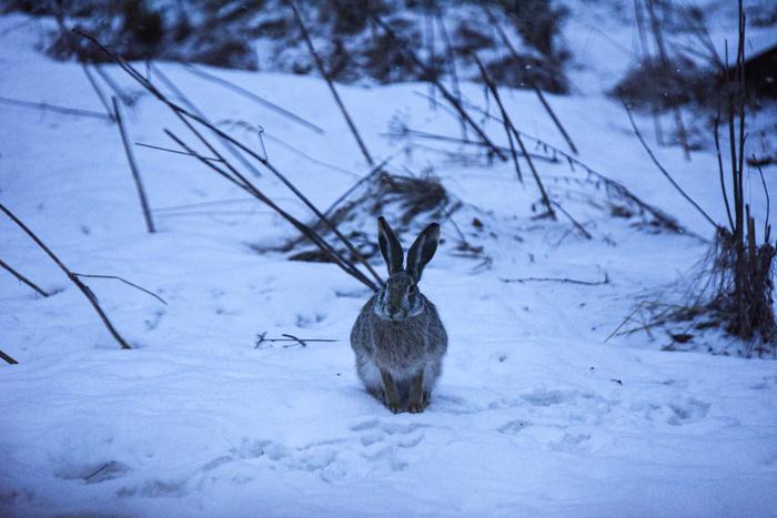 Lumisateen jälkeen Lumisateet peittivät jälleen maan keväisen kylmässä säässä.