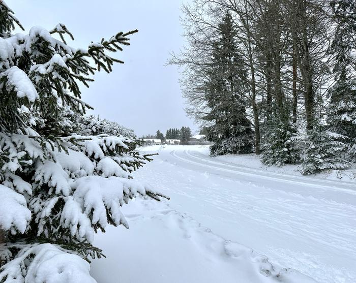 Maaliskuinen lumisade toi uutta lunta Viikonlopun lumisade toi jopa parikymmentä senttimetriä uutta lunta maan etelä- ja itäosaan.