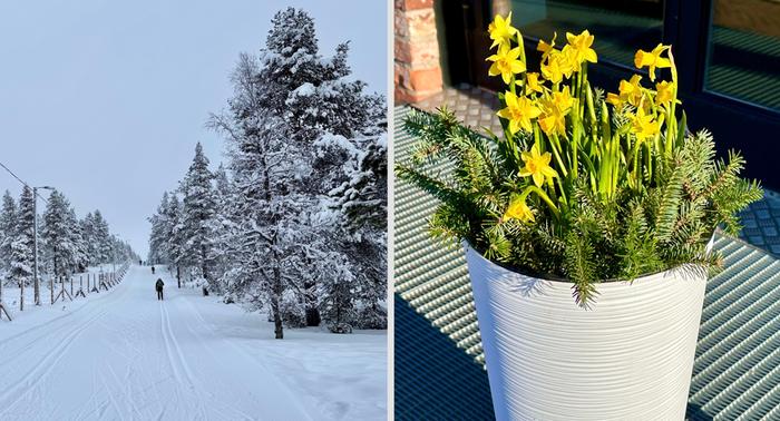 Maaliskuussa koetaan Suomessa sekä talvista että ajoittain jo keväistäkin säätä.
