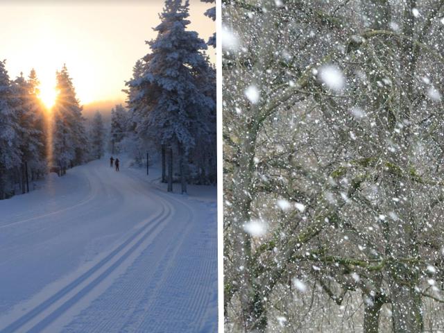 Tapaninpäivänä pakkanen paukkuu Lapissa paikoin 35 asteessa, mutta sunnuntain ja maanantain aikana sää lauhtuu rajusti.