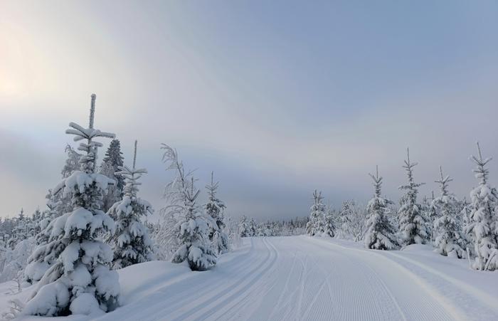 Ohutta pilveä Tammi-helmikuun vaihdetta vietettiin vaihtelevan pilvisessä pakkassäässä.