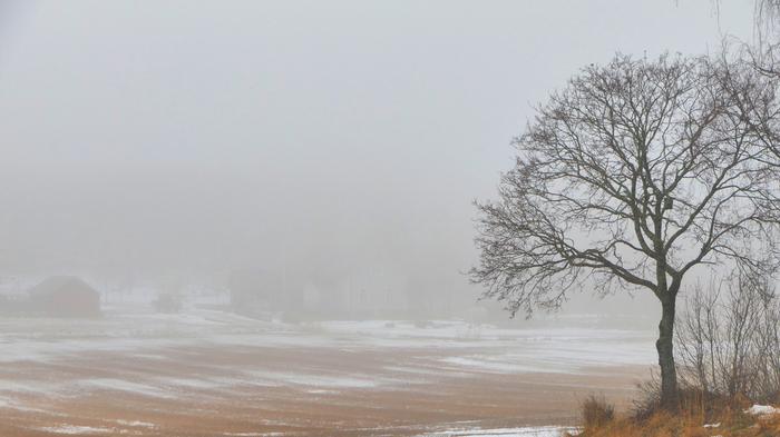 Pelto suojasäällä.