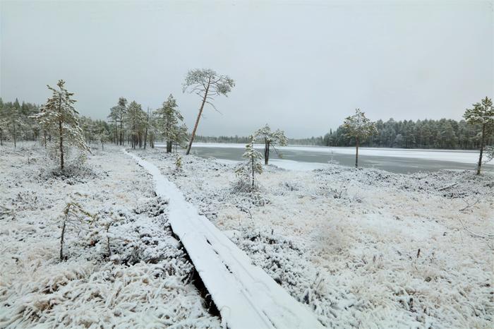 Uusi lumi peitti pitkospuut Pohjois-Pohjanmaalla.