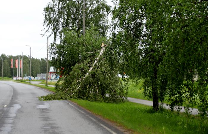 Vieno-myrsky on katkonut puita ja aiheuttanut sähkökatkoja eri puolilla Suomea.