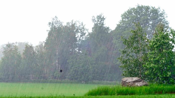 Vesi vihmoi vehmaalla.