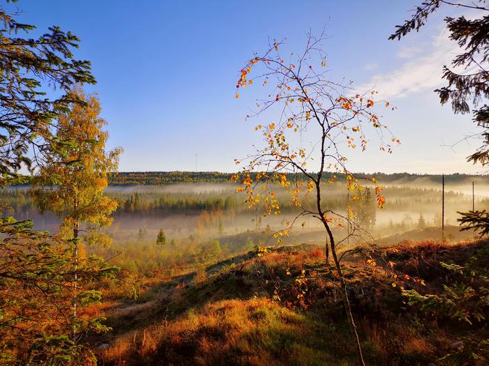 Selkeinä syysöinä muodostuu helposti sumua tai utua lämpötilan laskiessa.