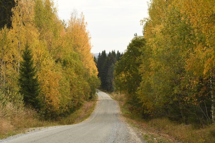 Ruskaa tien varrella.