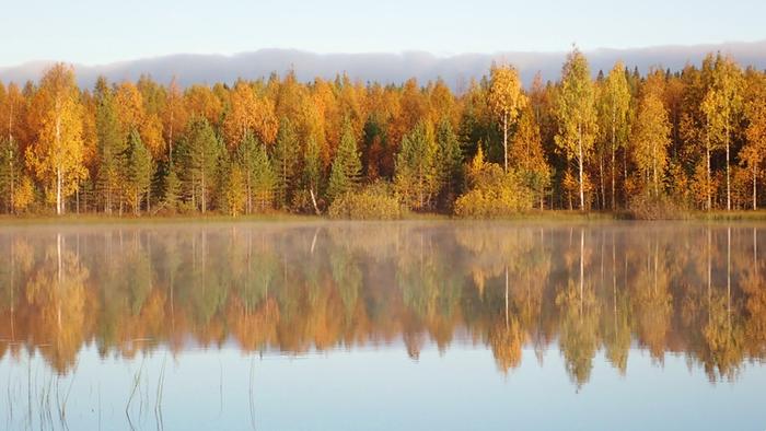 Tyyni syysaamu Syys–lokakuussa ruska levittäytyy hitaasti Lapista etelään.