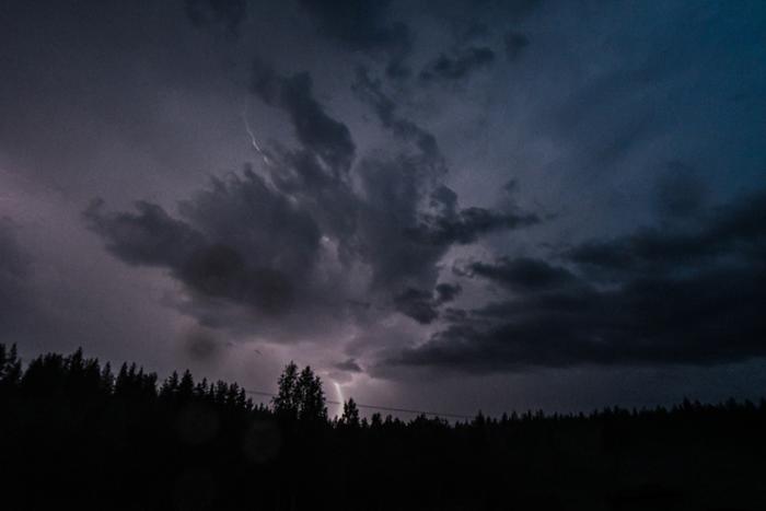 Salamat näkyvät parhaiten illan tai yön hämärässä.