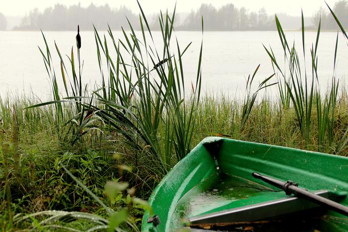 Koulunalusviikolla luvassa on sekä sadetta että paistetta.
