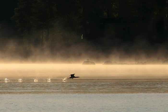 Lentoonlähtö aamusumussa.