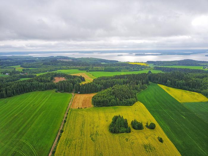 Kesäinen pilvilautta, joka viilentää säätä, yleinen varsinkin koillisvirtauksilla