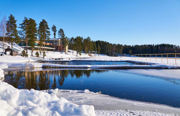 Helmikuista auringonpaistetta.