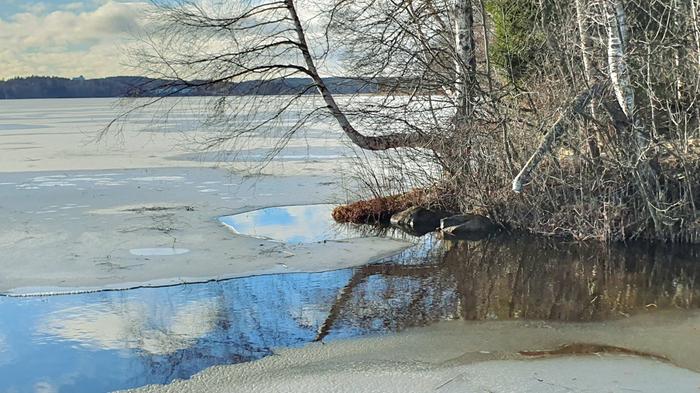 Sula Lohjanjärven ranta Lauhassa säässä sulaa voi olla muuallakin kuin virtapaikoilla.