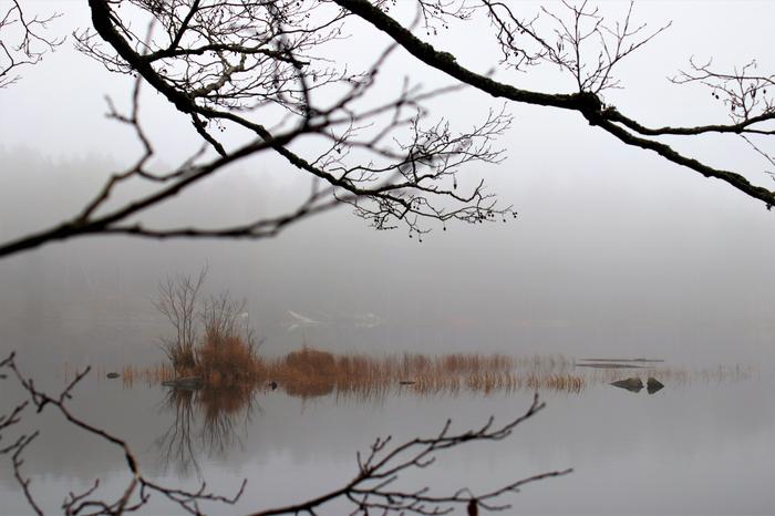 Sumuinen syyspäivä Syyspäivän sumua Pirkanmaalla.