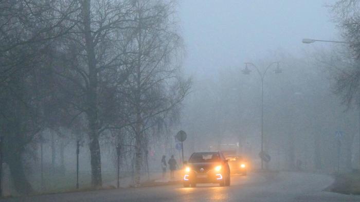 Sumuinen päivä Lauha sää tuo talvella mukanaan usein sumua.
