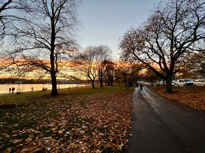 Marraskuun alussa syksy on edennyt jo pitkälle eteläisessäkin Suomessa.