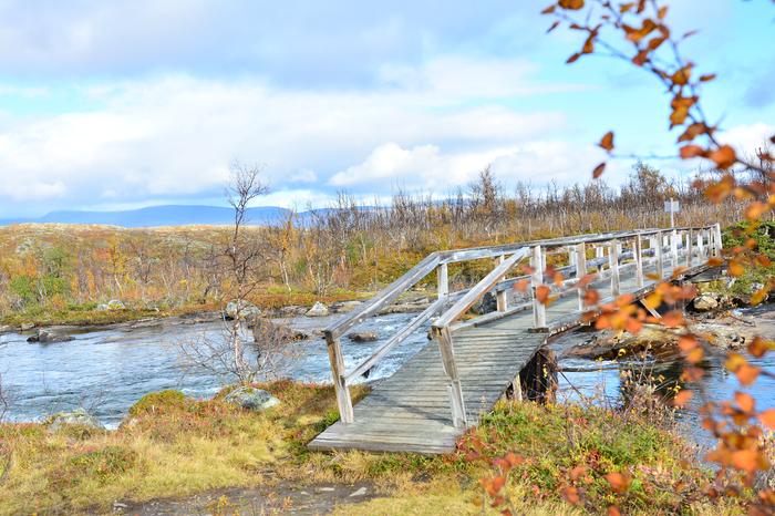 Ruskan värejä Lapissa syyskuun alkupuolella, jolloin terminen syksy oli alkanut jo osassa Lappia.