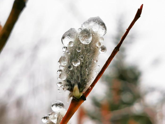 Pääsiäistunnelmaa.