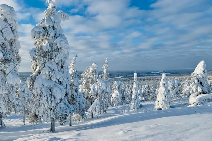 Tykkyä ja aurinkoa Talvinen Ounasjokilaakso.