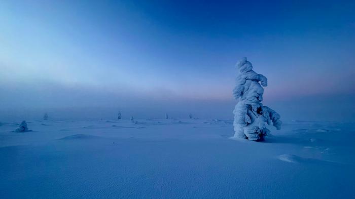 Kaamoksen tunnelmaa Selkeällä säällä pakkanen voi talvella kiristyä hyvin voimakkaasti.