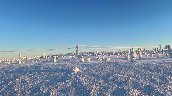 Tykkyä kertyy sekä puihin että rakenteisiin kuten sähkölinjoihin.